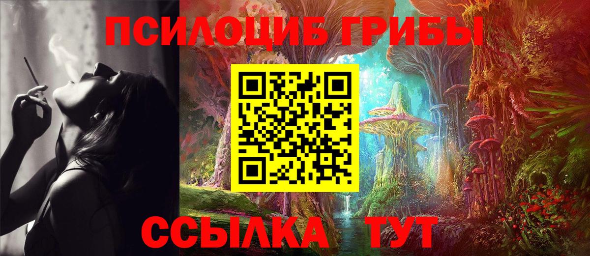 Псилоцибиновые грибы Psilocybine cubensis Заволжье