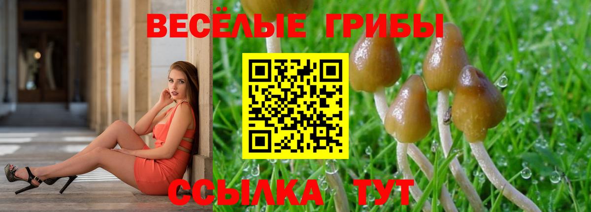 Псилоцибиновые грибы мухоморы  Вход с VPN  Заволжье 