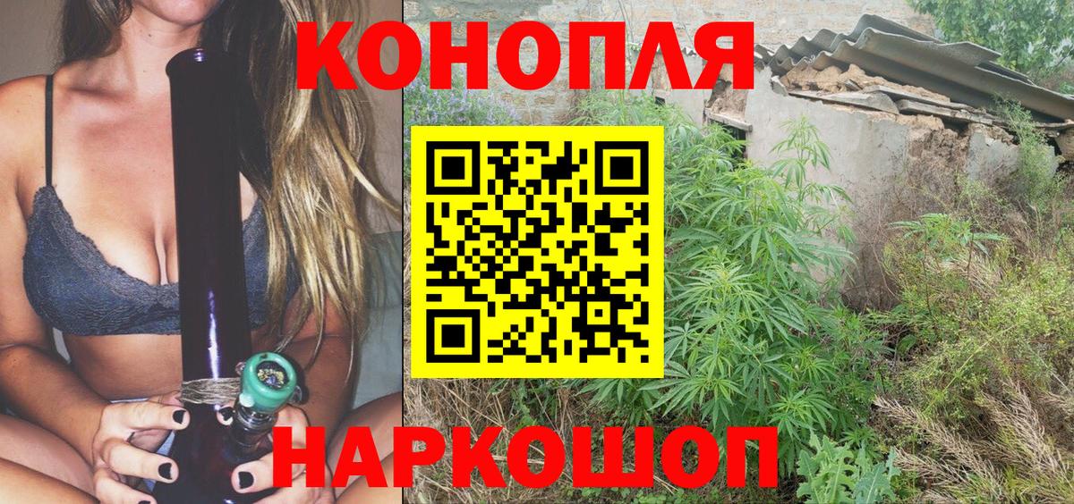 Бошки марихуана гибрид Заволжье